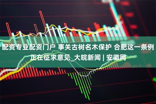 配资专业配资门户 事关古树名木保护 合肥这一条例正在征求意见_大皖新闻 | 安徽网