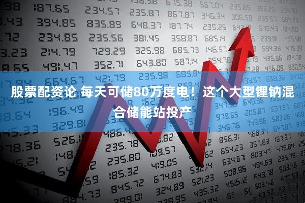 股票配资论 每天可储80万度电！这个大型锂钠混合储能站投产